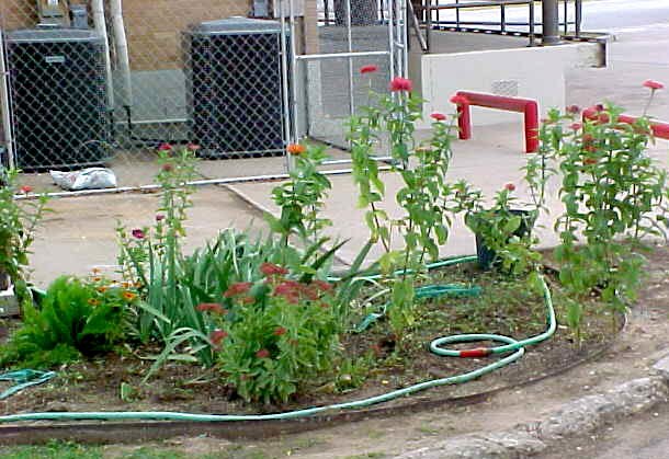 The Flower Club's work